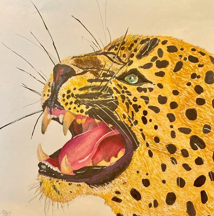 Colored pencil of jaguar by Ethan Meitz